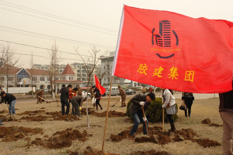 植樹節(jié)活動